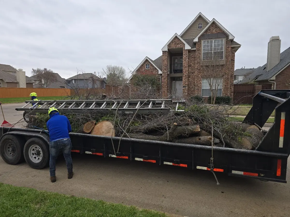 Expert Tree Pest Control with proper safety equipment in Semora